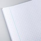 Тетрадь в клетку 12 листов, 5 видов МИКС, обложка мелованный картон, «Принцессы» - Фото 2