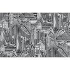 Обои виниловые на флизелиновой основе "Белвинил" Вояж-22 черно-белый 1,06*10м 5473580