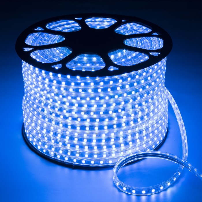 Светодиодная лента Ecola 14 × 7 мм, 100 м, IP68, SMD5050, 60 LED/м, 14.4 Вт/м, 220 В, свечение синее - фото 1905707214