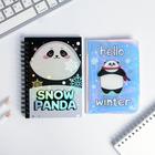 Подарочный набор: голографический блокнот и обложка Snow panda - Фото 2