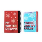 Подарочный набор новогодний, голографический блокнот и обложка на паспорт, My winter plans - Фото 5