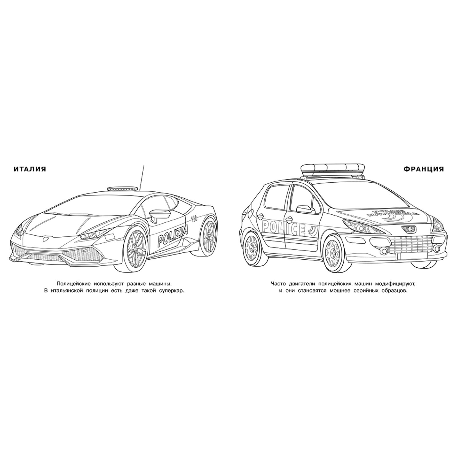 Раскраска «Полицейские машины мира» (5430088) - Купить по цене от 19.90  руб. | Интернет магазин SIMA-LAND.RU