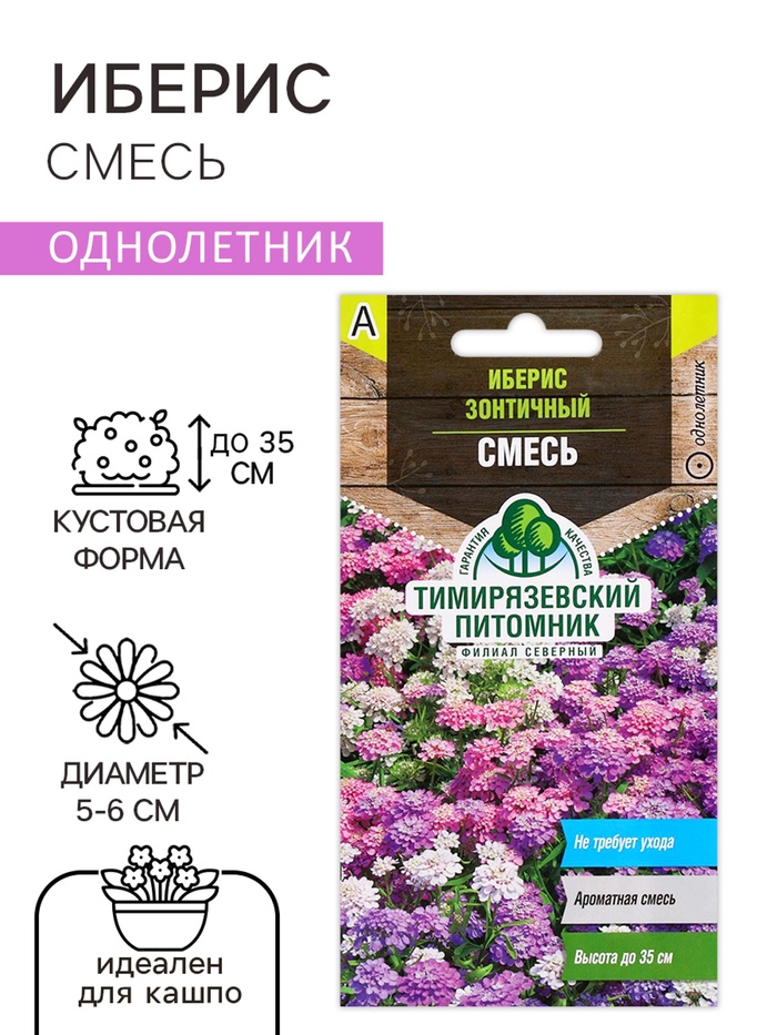Семена цветов Иберис "Cмесь", 0,1 г - Фото 1