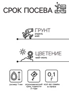 Семена цветов Иберис "Cмесь", 0,1 г - Фото 2