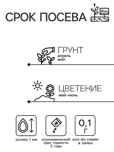 Семена цветов Иберис «Смесь», «Тимирязевский питомник», 0.1 г