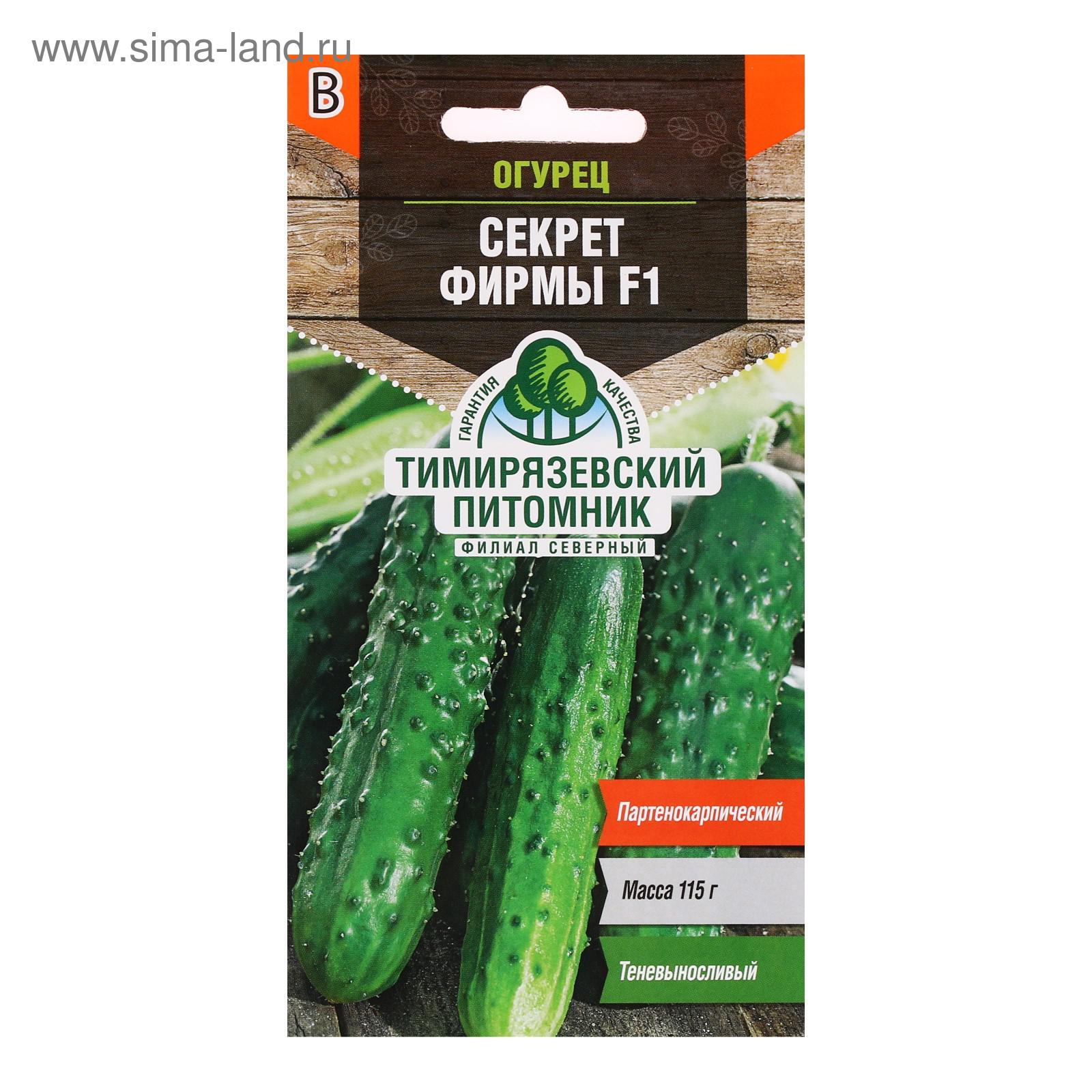 Огурец секрет описание отзывы фото Огурец секрет описание отзывы фото