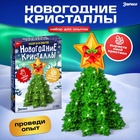 Выращивание новогоднего кристалла «Ёлочка и звезда», набор для опытов - Фото 1