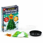 Выращивание новогоднего кристалла «Ёлочка и звезда», набор для опытов - Фото 5