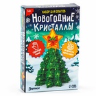 Выращивание новогоднего кристалла «Ёлочка и звезда», набор для опытов - Фото 7