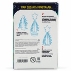 Выращивание новогоднего кристалла «Ёлочка и звезда», набор для опытов - Фото 8