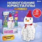 Выращивание новогоднего кристалла «Снеговик», набор для опытов - Фото 1