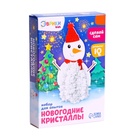 Выращивание новогоднего кристалла «Снеговик», набор для опытов - Фото 8