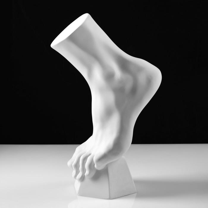 Гипсовая фигура анатомическая: стопа вертикальная, 14 х 23,5 х 38 см - Фото 1