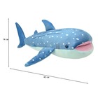 Мягкая игрушка «Китовая акула», 40 см - Фото 3