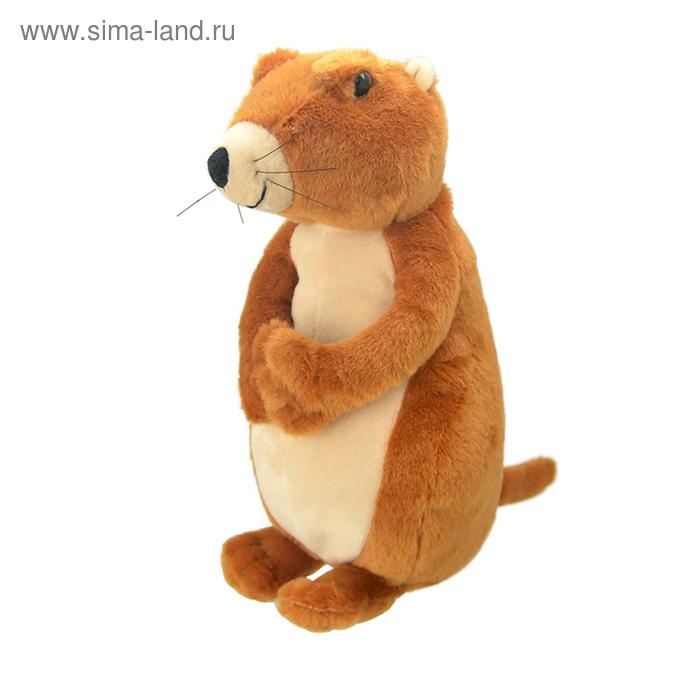 Мягкая игрушка «Луговая собачка», 25 см - Фото 1