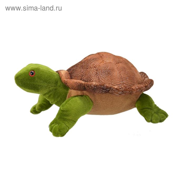 Мягкая игрушка Черепаха, 25 см - Фото 1