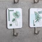 Крючок на липучке «Галерея», 9 шт, тропические листья, цвет МИКС - Фото 2