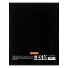 набор тетрадей 48л Микс №5, обложка УФ-лак - Фото 3