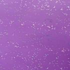 Пленка для цветов «Звездная ночь», 58 см × 5 м светло фиолетовый - Фото 4