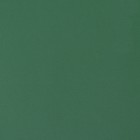 Пленка двухсторонняя 0,57 х 5 м зелёный МИКС - фото 6349227