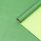 Пленка двухсторонняя 0,57 х 5 м зелёный МИКС - фото 6349229
