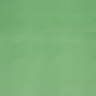 Пленка двухсторонняя 0,57 х 5 м зелёный МИКС - фото 6349230