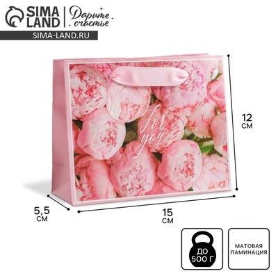 Пакет подарочный ламинированный, упаковка, «For you», S 15×12×5.5 см