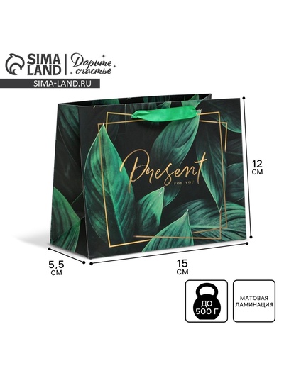 Пакет подарочный ламинированный, упаковка, Present for you, S 15×12×5.5 см