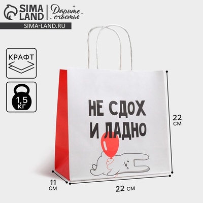 Пакет подарочный «И ладно», упаковка, 22×22×11 см