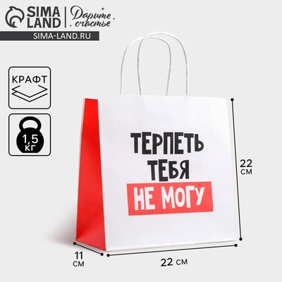 Пакет подарочный, упаковка, «Терпеть тебя не могу», 22×22×11 см