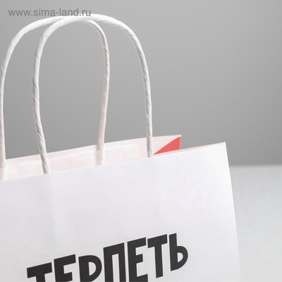Пакет подарочный, упаковка, «Терпеть тебя не могу», 22×22×11 см