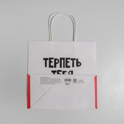 Пакет подарочный, упаковка, «Терпеть тебя не могу», 22×22×11 см