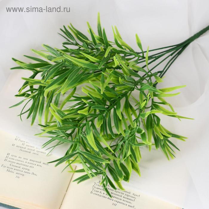 Букет искусственный «Шинус», h=32 см - Фото 1