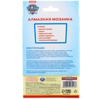 Алмазная мозаика с частичным заполнением для детей «Щенячий патруль», 15 х 10.см - Фото 13