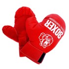 Боксерский набор, 30 см, МИКС - Фото 3