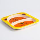 Тарелка детская из бамбука M&B «Леопард», 2 секции - Фото 3