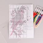 Набор для вышивания «Попугай» 9×19 см - Фото 2