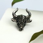 Брошь «Бык», форма МИКС, цвет серый в чернёном серебре (неделимая фас.12шт, цена за шт) - Фото 1