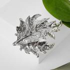 Брошь крупная «Лист», цвет серебро - Фото 1