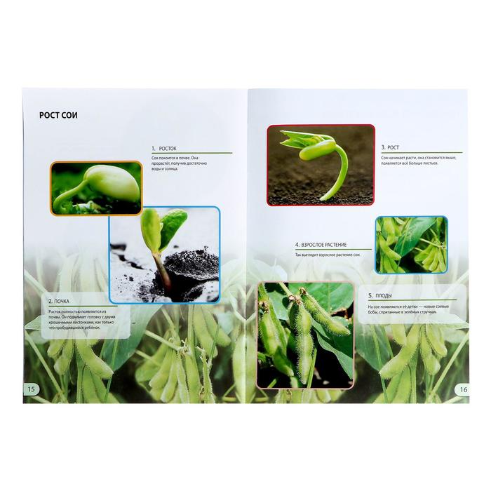 Набор для опытов «Наука о растениях», 16 опытов - фото 1889507486