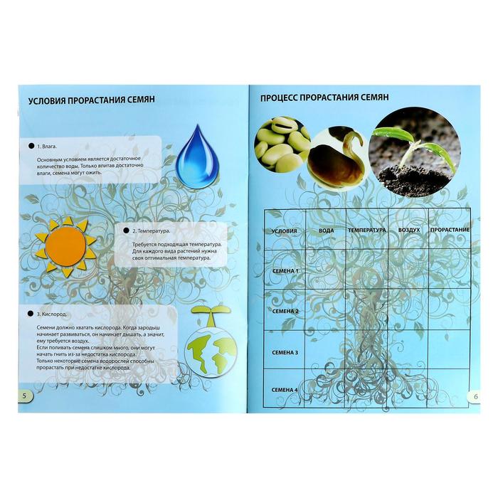 Набор для опытов «Наука о растениях», 16 опытов - фото 1889507487