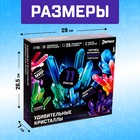 Набор для опытов с реагентами «Лаборатория удивительных кристаллов», выращивание - Фото 2