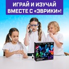 Набор для опытов с реагентами «Лаборатория удивительных кристаллов», выращивание - Фото 6