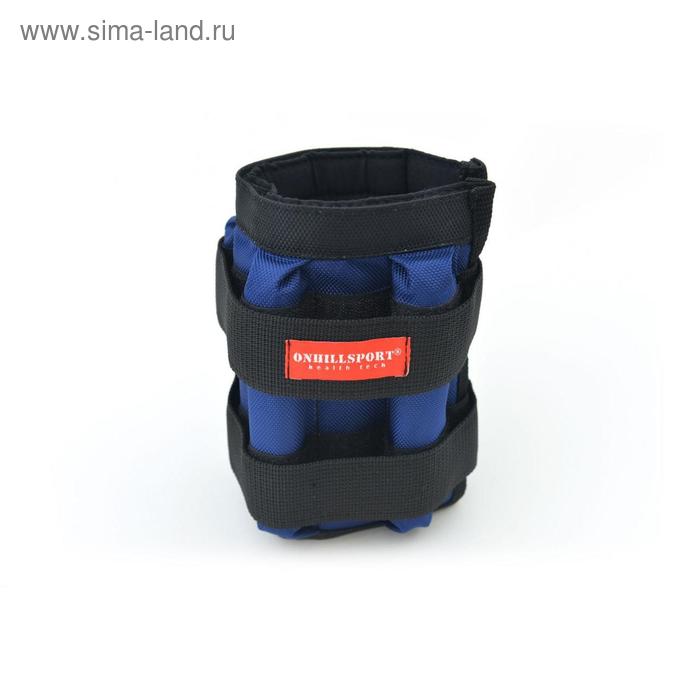 Утяжелители 2 × 2 кг (грузы съёмные 500 г, 8 шт.), цвет синий