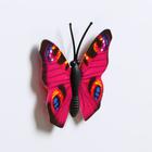 Магнит "Бабочка миниатюрная" 3×4 см - Фото 4