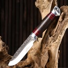 Нож охотничий "Тукан" 23,7см, клинок 120мм/3,2мм, коричневый - фото 27178014