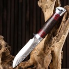 Нож охотничий "Тукан" 23,7см, клинок 120мм/3,2мм, коричневый - фото 27178015