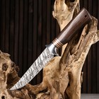 Нож охотничий "Сибиряк" 27,5мм, клинок 145мм/3,2мм, коричневый - Фото 4