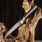 Нож охотничий "Сибиряк" 27,5мм, клинок 145мм/3,2мм, коричневый - Фото 5
