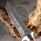 Нож охотничий "Сибиряк" 27,5мм, клинок 145мм/3,2мм, коричневый - Фото 6